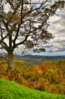 USA-Virginia-Shenandoah National Park-fall color Art Print